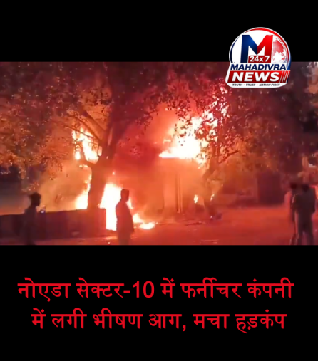 🚨 नोएडा सेक्टर-10 में फर्नीचर कंपनी में लगी भीषण आग, मचा हड़कंप